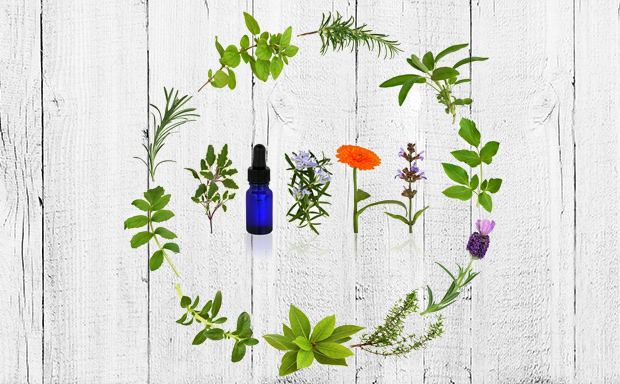 5 Essential Oil Pairs for Gut Health 1