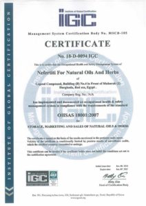 IIGC ISO1