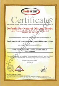 Nefertiti ISO 14001 2015