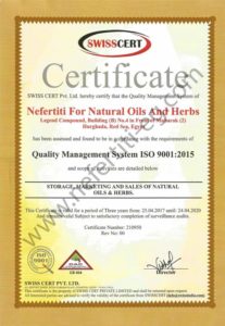 Nefertiti ISO 9001 2015