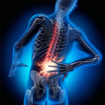 Pain Relief Oil- back pain - Nefertiti